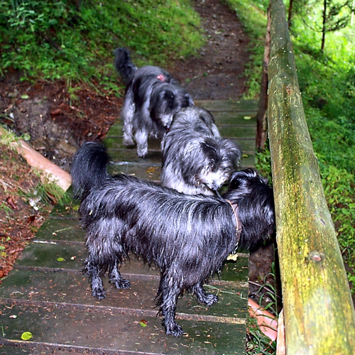 22 Urlaub 2011